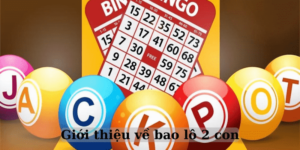 Giới thiệu về bao lô 2 con